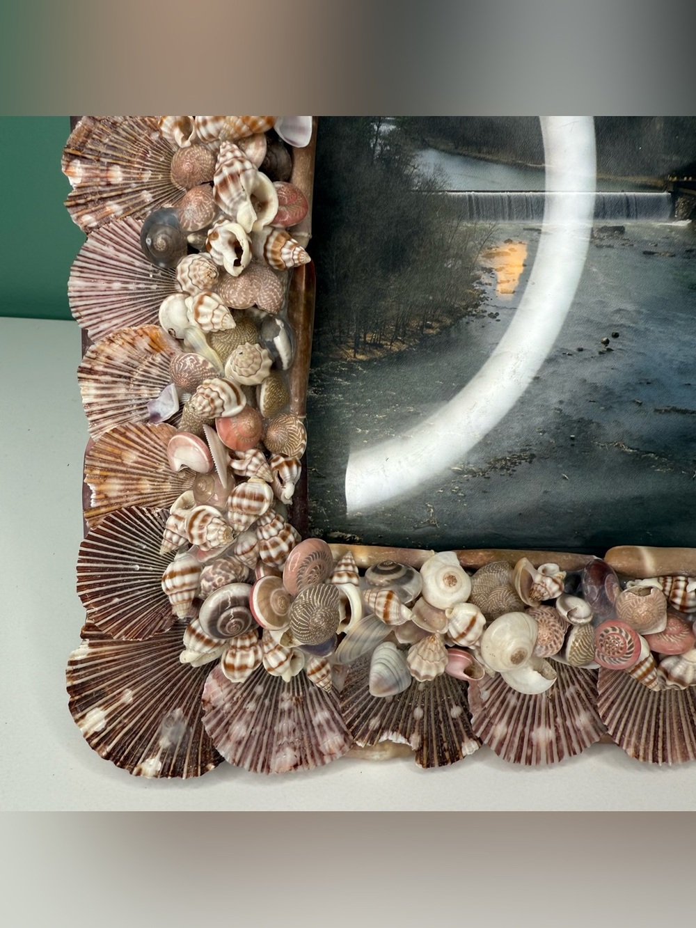 Seashell Shell Photo Picture Frame Natural Coastal Beachy Beach House Decor - Picture 11 of 16